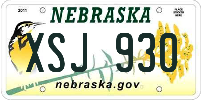 NE license plate XSJ930