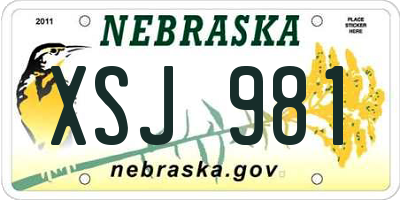 NE license plate XSJ981