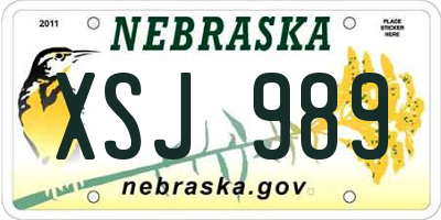 NE license plate XSJ989