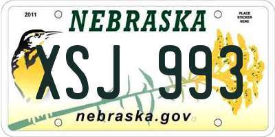 NE license plate XSJ993