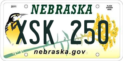 NE license plate XSK250