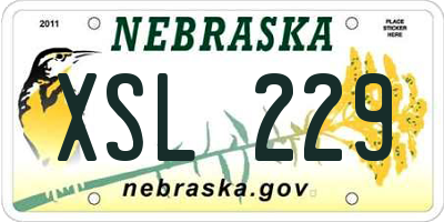 NE license plate XSL229
