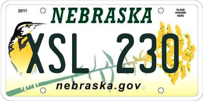 NE license plate XSL230