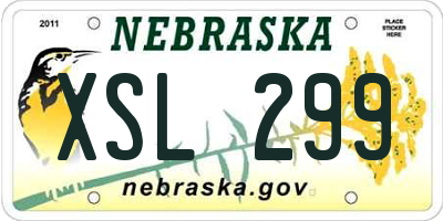 NE license plate XSL299