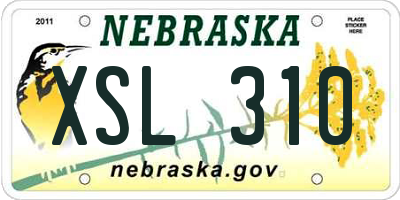 NE license plate XSL310