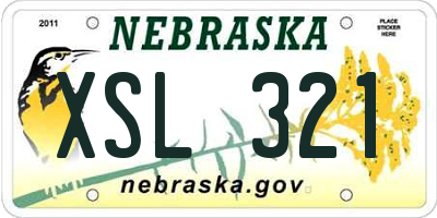 NE license plate XSL321