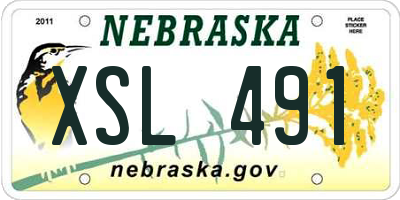 NE license plate XSL491