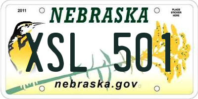 NE license plate XSL501