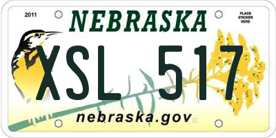 NE license plate XSL517