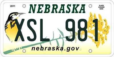 NE license plate XSL981