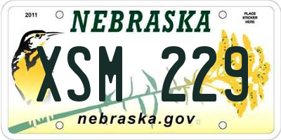 NE license plate XSM229