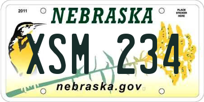 NE license plate XSM234