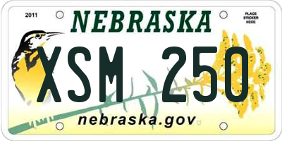 NE license plate XSM250