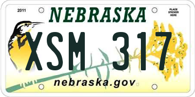 NE license plate XSM317