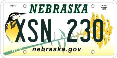 NE license plate XSN230