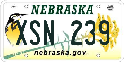 NE license plate XSN239