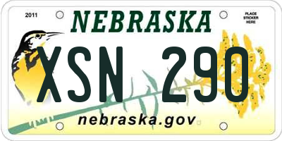 NE license plate XSN290