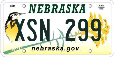 NE license plate XSN299