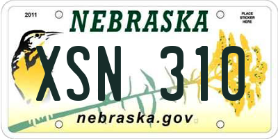 NE license plate XSN310