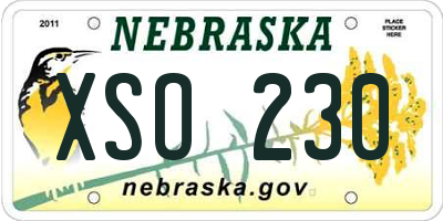 NE license plate XSO230
