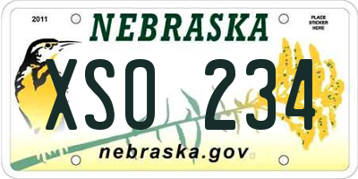 NE license plate XSO234