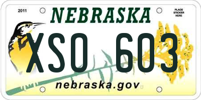 NE license plate XSO603