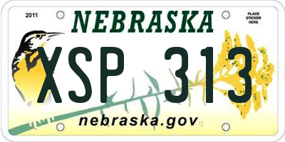 NE license plate XSP313