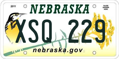 NE license plate XSQ229