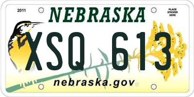 NE license plate XSQ613