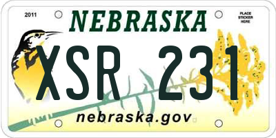 NE license plate XSR231