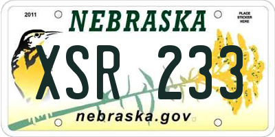 NE license plate XSR233
