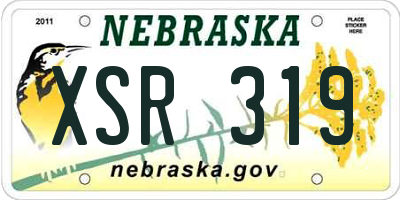 NE license plate XSR319