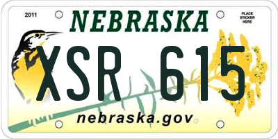 NE license plate XSR615