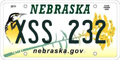 NE license plate XSS232