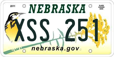 NE license plate XSS251
