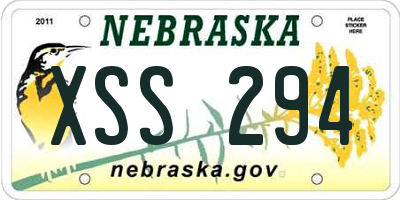 NE license plate XSS294