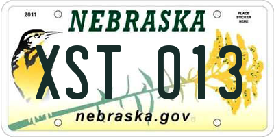 NE license plate XST013