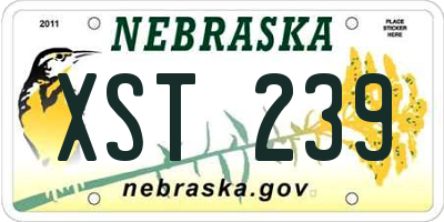 NE license plate XST239
