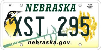 NE license plate XST295