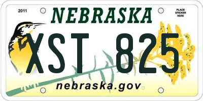 NE license plate XST825
