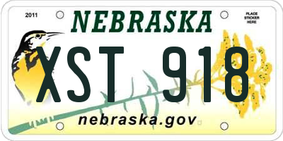 NE license plate XST918