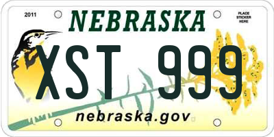NE license plate XST999