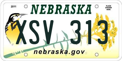 NE license plate XSV313