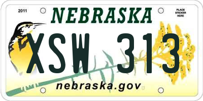 NE license plate XSW313