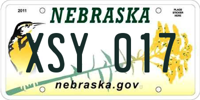 NE license plate XSY017