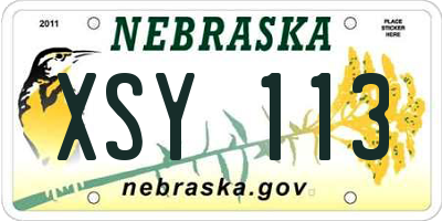 NE license plate XSY113