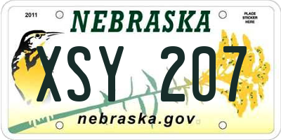 NE license plate XSY207