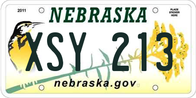 NE license plate XSY213