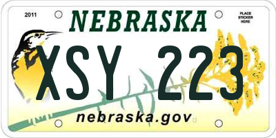 NE license plate XSY223