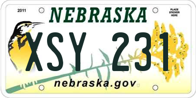 NE license plate XSY231
